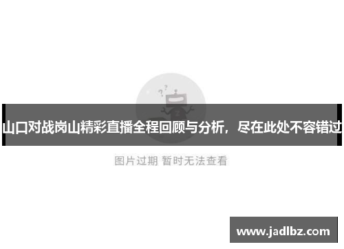 山口对战岗山精彩直播全程回顾与分析，尽在此处不容错过